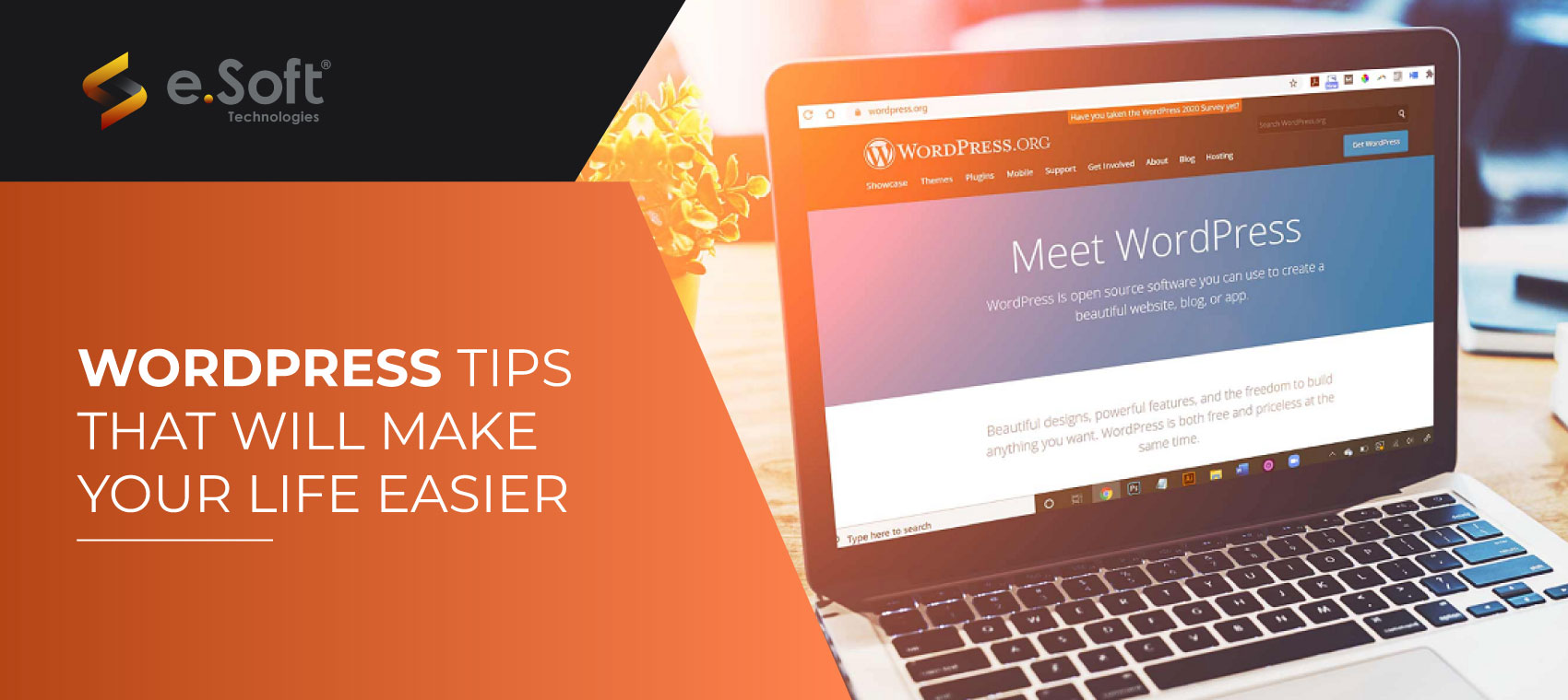 Wordpress Tips for Your Website