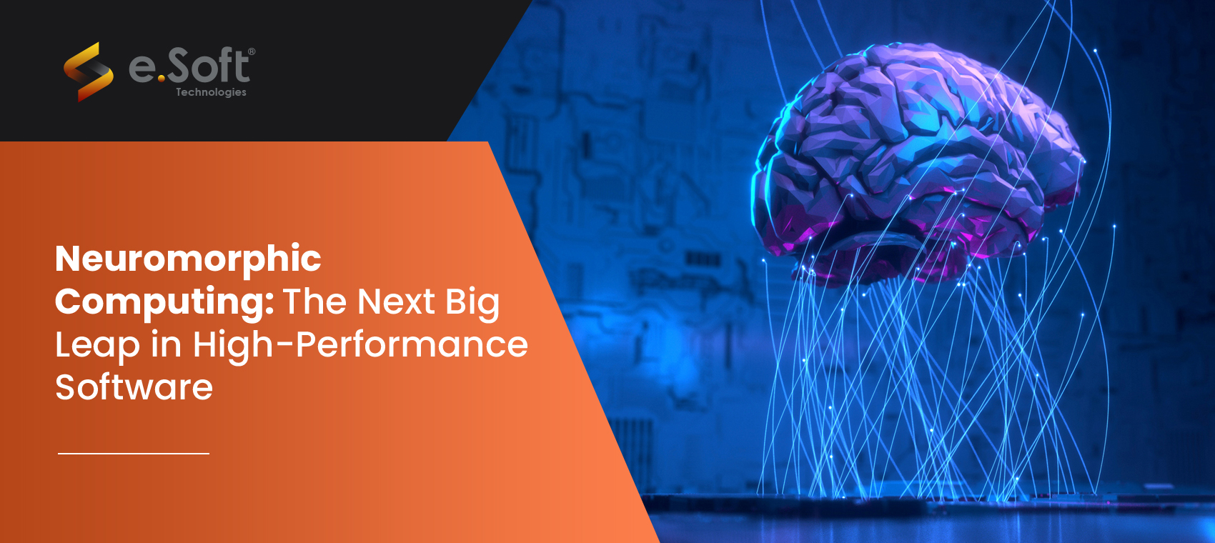 Neuromorphic Computing - Next Big Leap in High Performance Software
