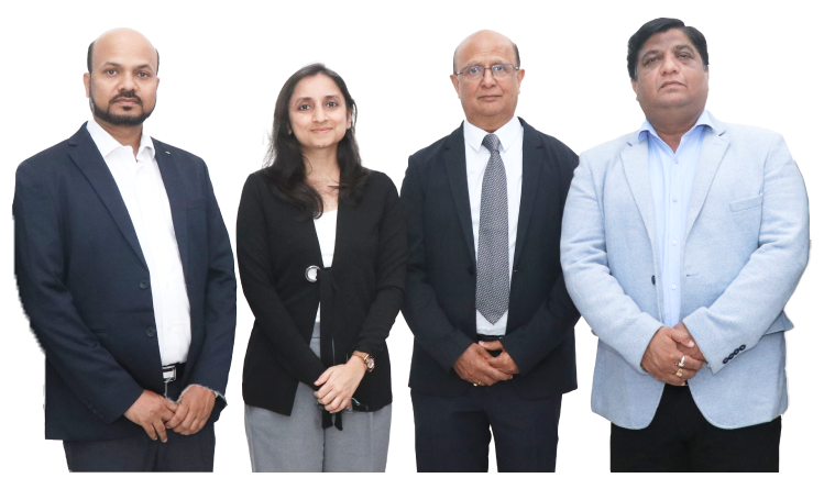 Professional Software Development Team