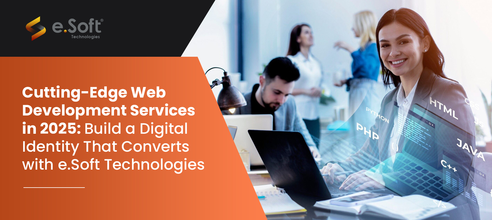 Web Development Services with e.Soft Technologies