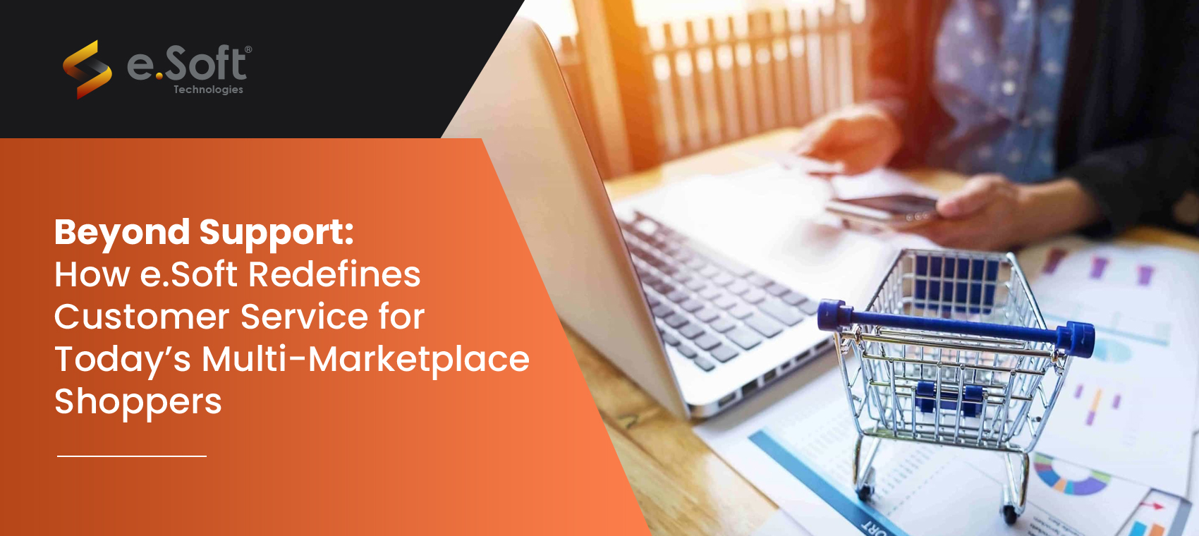 e.Soft Redines Customer Service for Multi-Marketplace